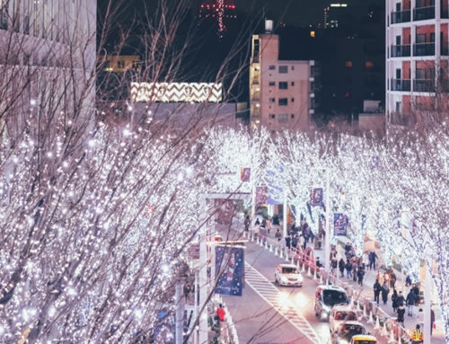 東京大阪銀色聖誕自由行攻略12天住宿交通行程規劃篇，日本六本木Hills以及橫濱紅磚倉聖誕市集完整行程推薦！